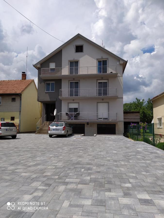 Villa Ponte Pancsova Kültér fotó