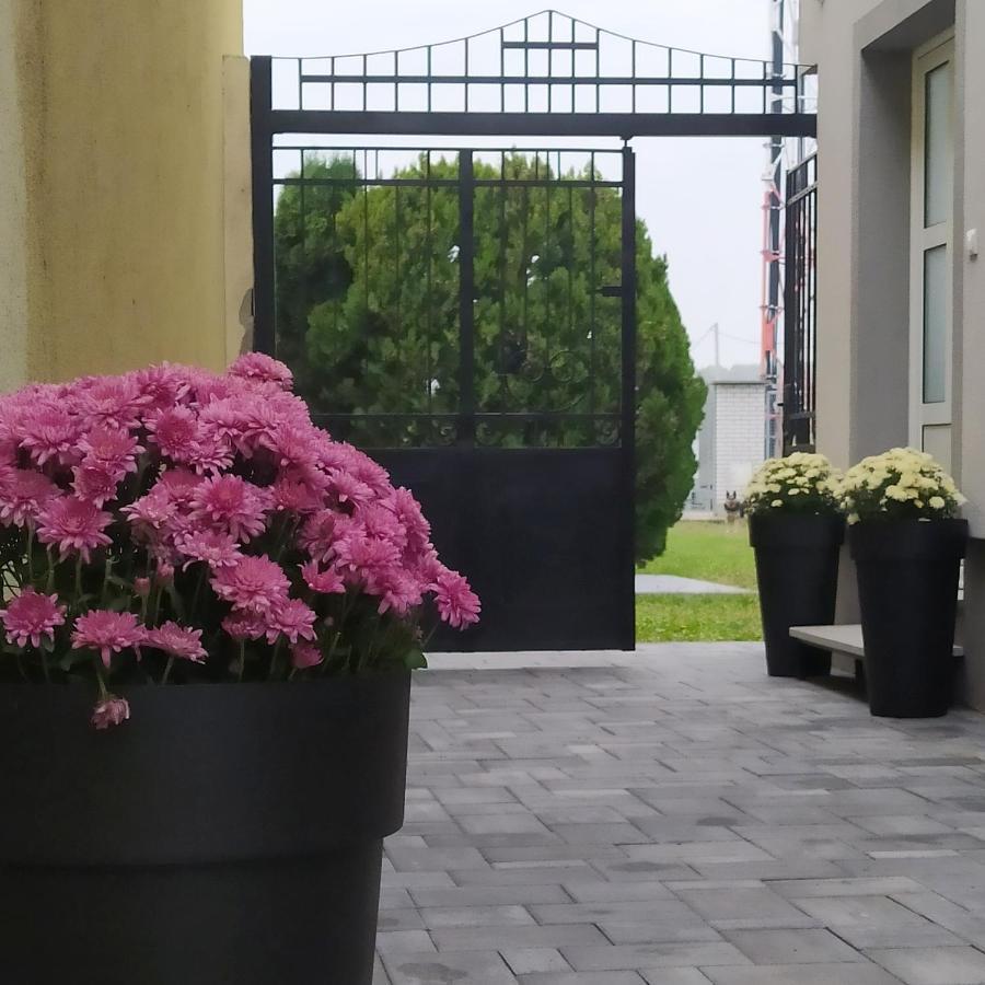Villa Ponte Pancsova Kültér fotó