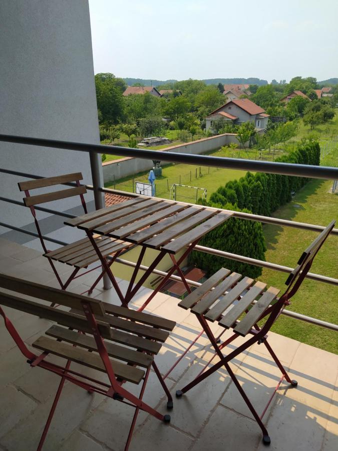Villa Ponte Pancsova Kültér fotó