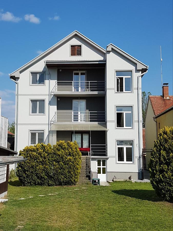 Villa Ponte Pancsova Kültér fotó
